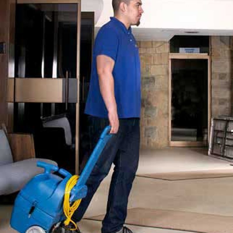 POLIVAC HOTSPOT Carpet Spotter